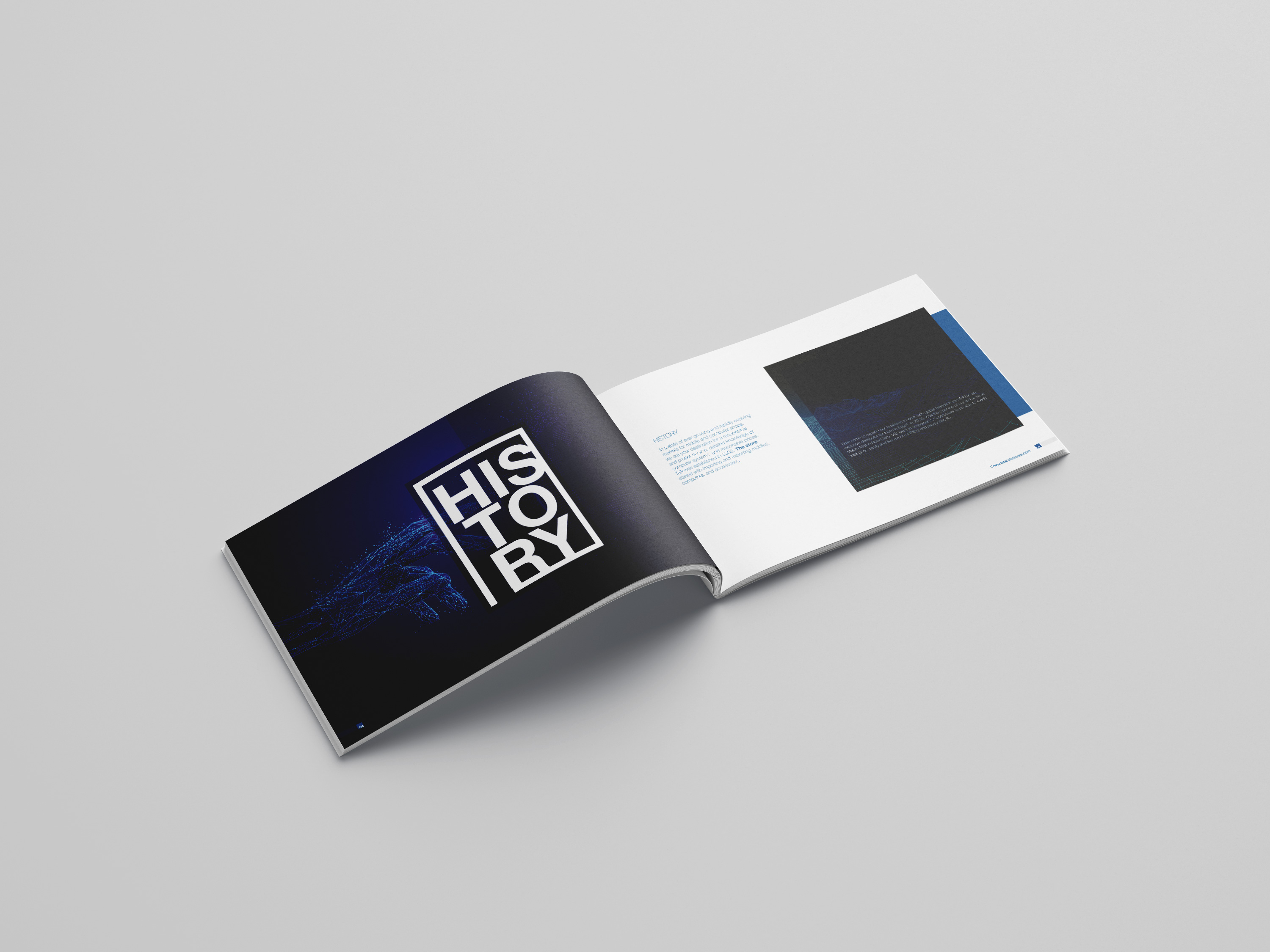 Project Gallery Item