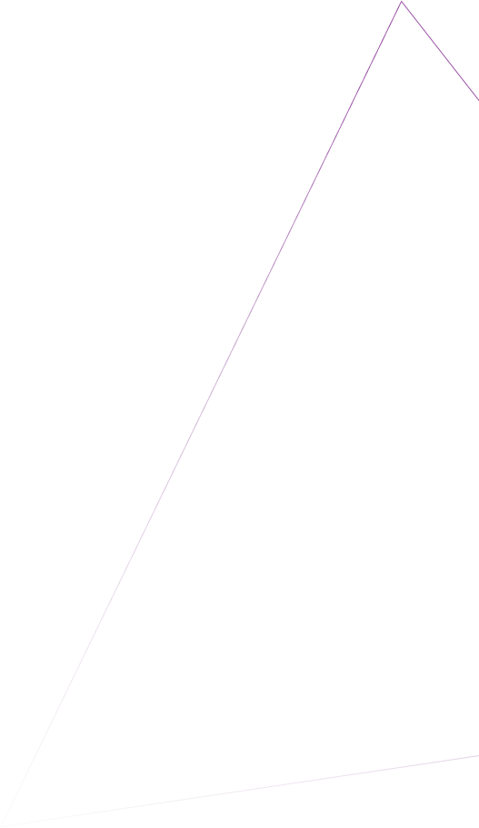 Vision Vector